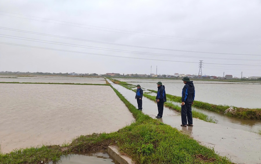 Đồng chí Nguyễn Văn Ba - Phó Bí thư Đảng ủy, Chủ tịch UBND xã Giao Bình, cùng các ngành chức năng kiểm tra đê kè, lúa Mùa, công tác phòng chống bão